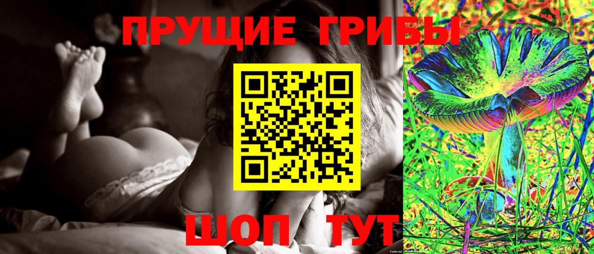 Ревда  Псилоцибиновые грибы GOLDEN TEACHER  Псилоцибиновые грибы Magic Shrooms  Вход с VPN 